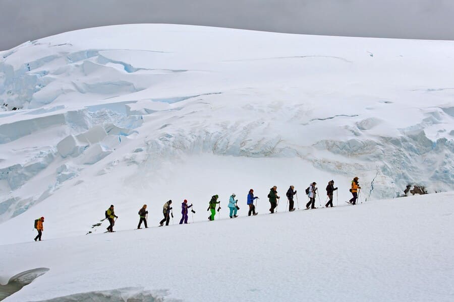 What can tourist do in Antarctica