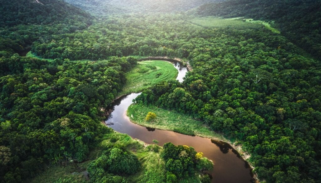 Amazon Botany Lab Air View