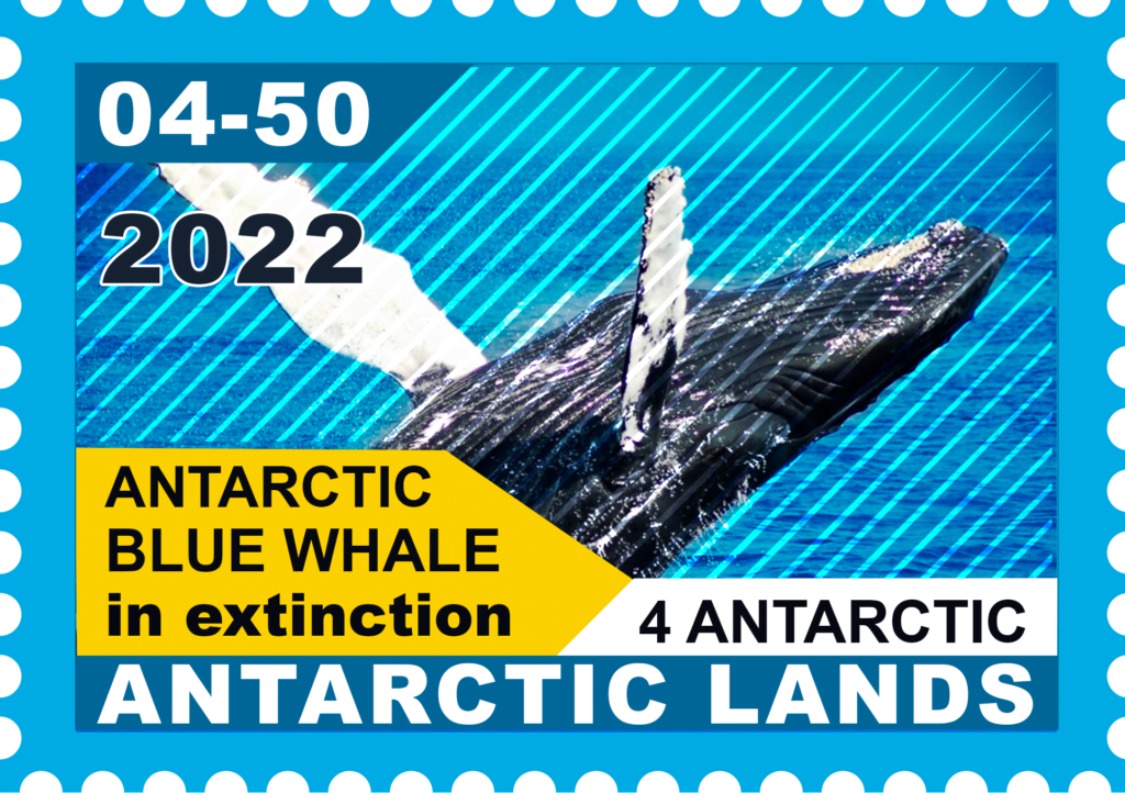 NFT Antarctic Blue Whale