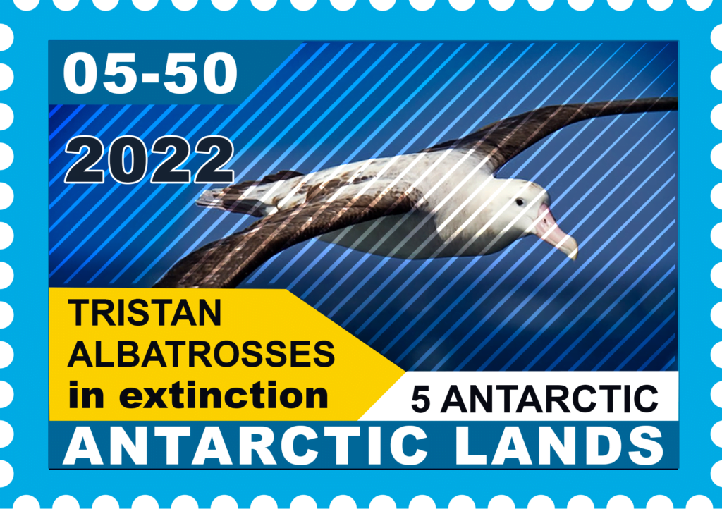 NFT Tristan Albatrosses